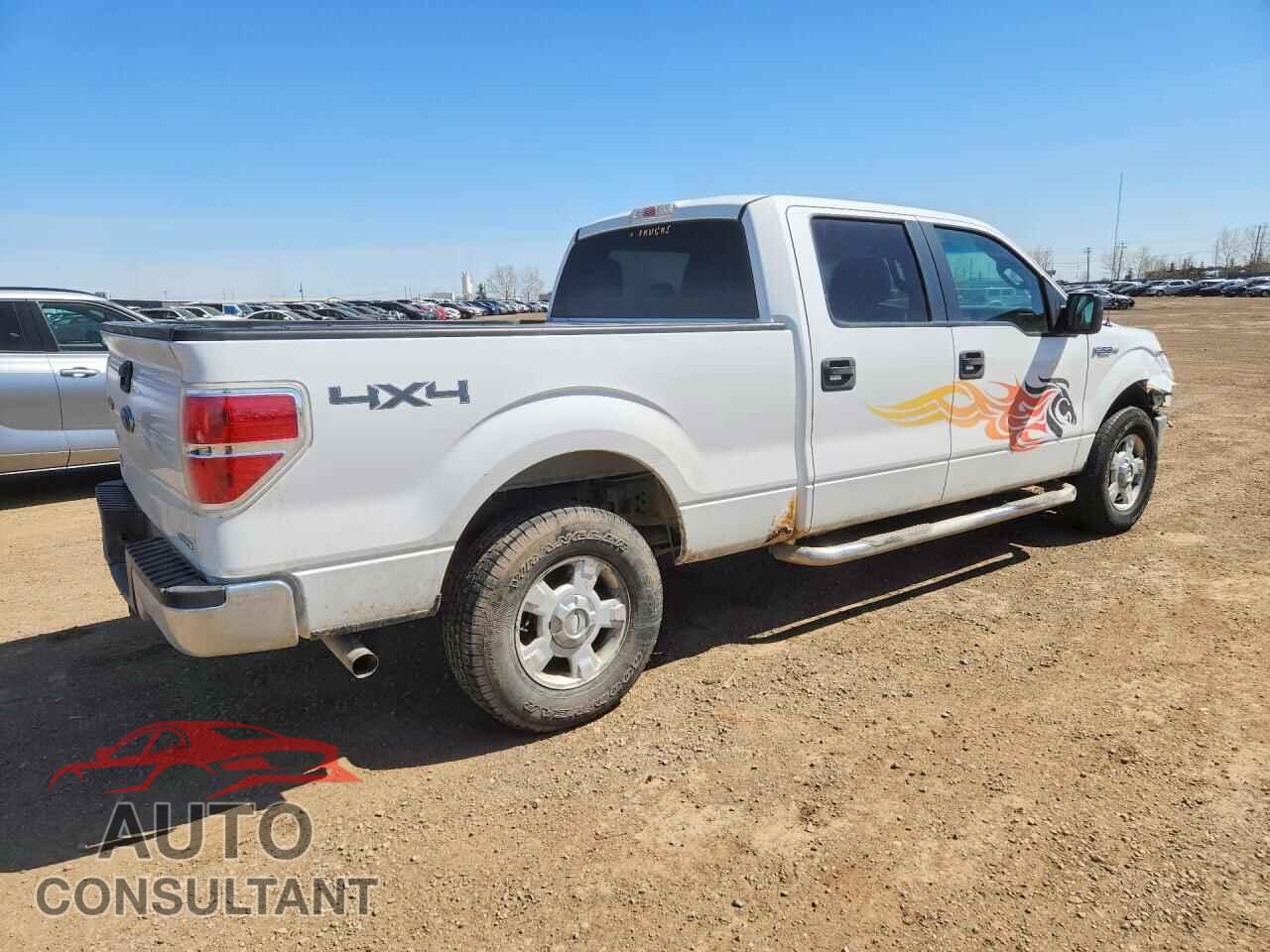 FORD F150 2013 - 1FTFW1EF4DFB70103