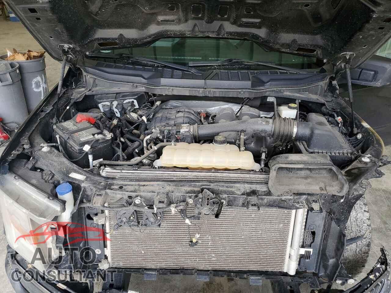 FORD All Models 2022 - 1FTMF1CB4NKF26792
