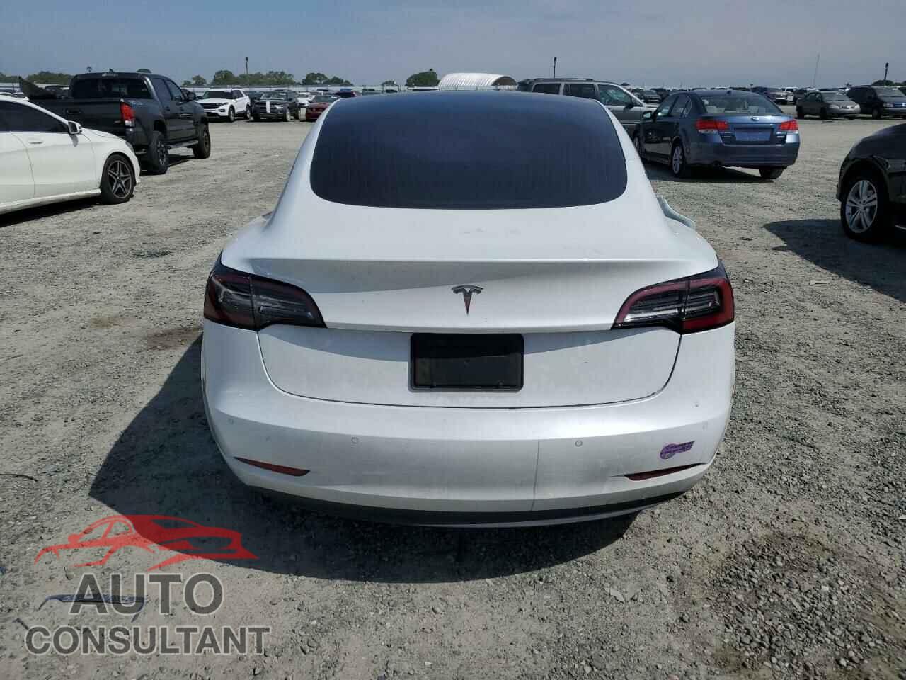 TESLA MODEL 3 2019 - 5YJ3E1EA8KF434550