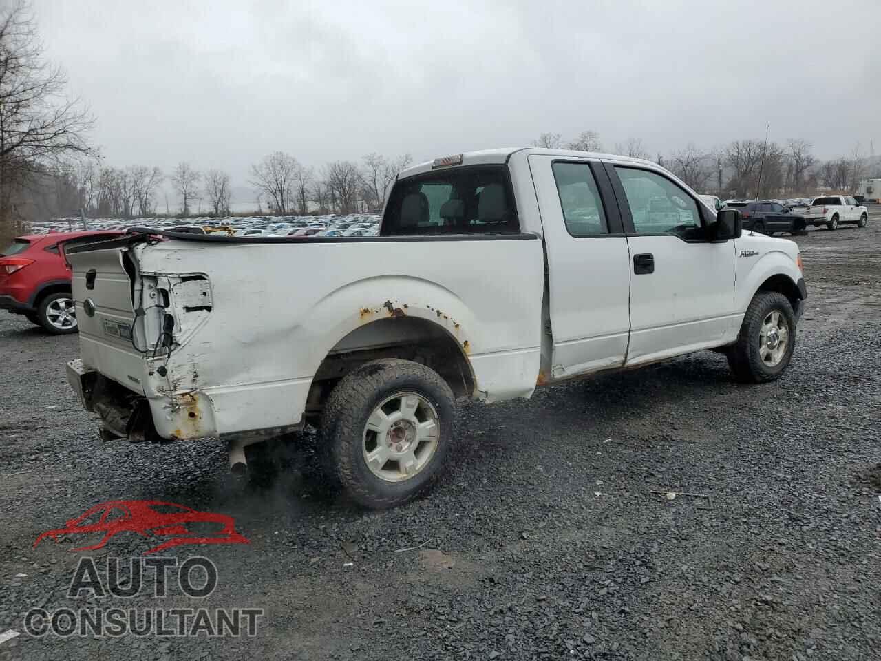 FORD F-150 2013 - 1FTEX1CM2DFD85196