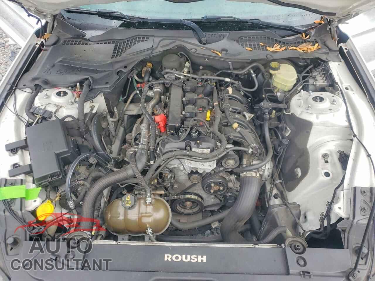 FORD MUSTANG 2016 - 1FA6P8TH4G5243545