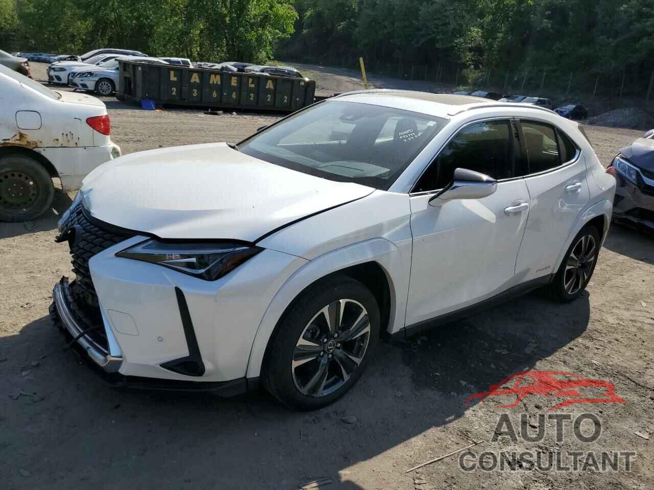 LEXUS UX 250H BA 2022 - JTHP9JBH7N2059750