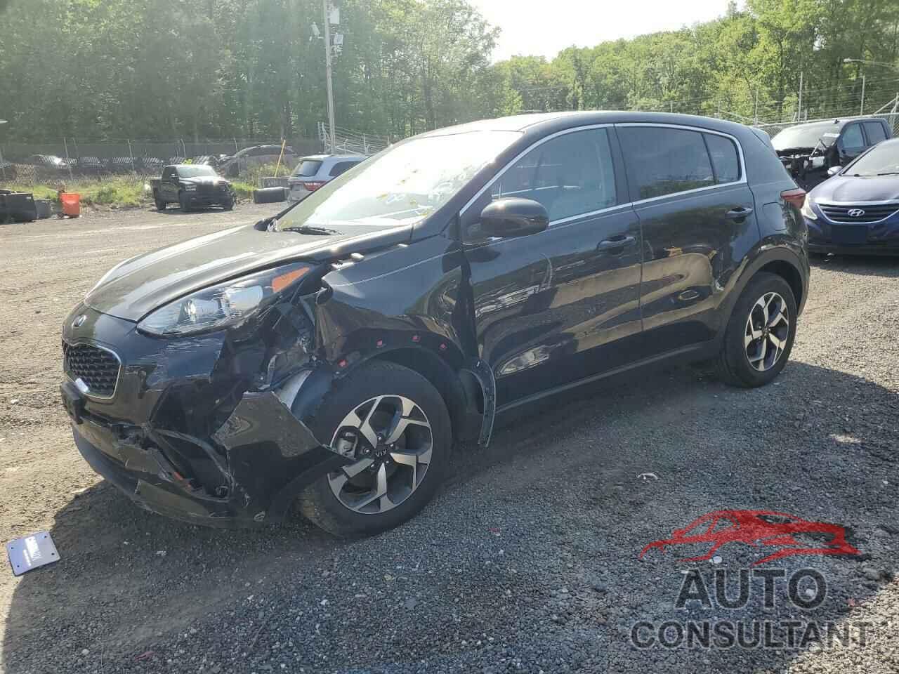 KIA SPORTAGE 2022 - KNDPM3AC1N7016445