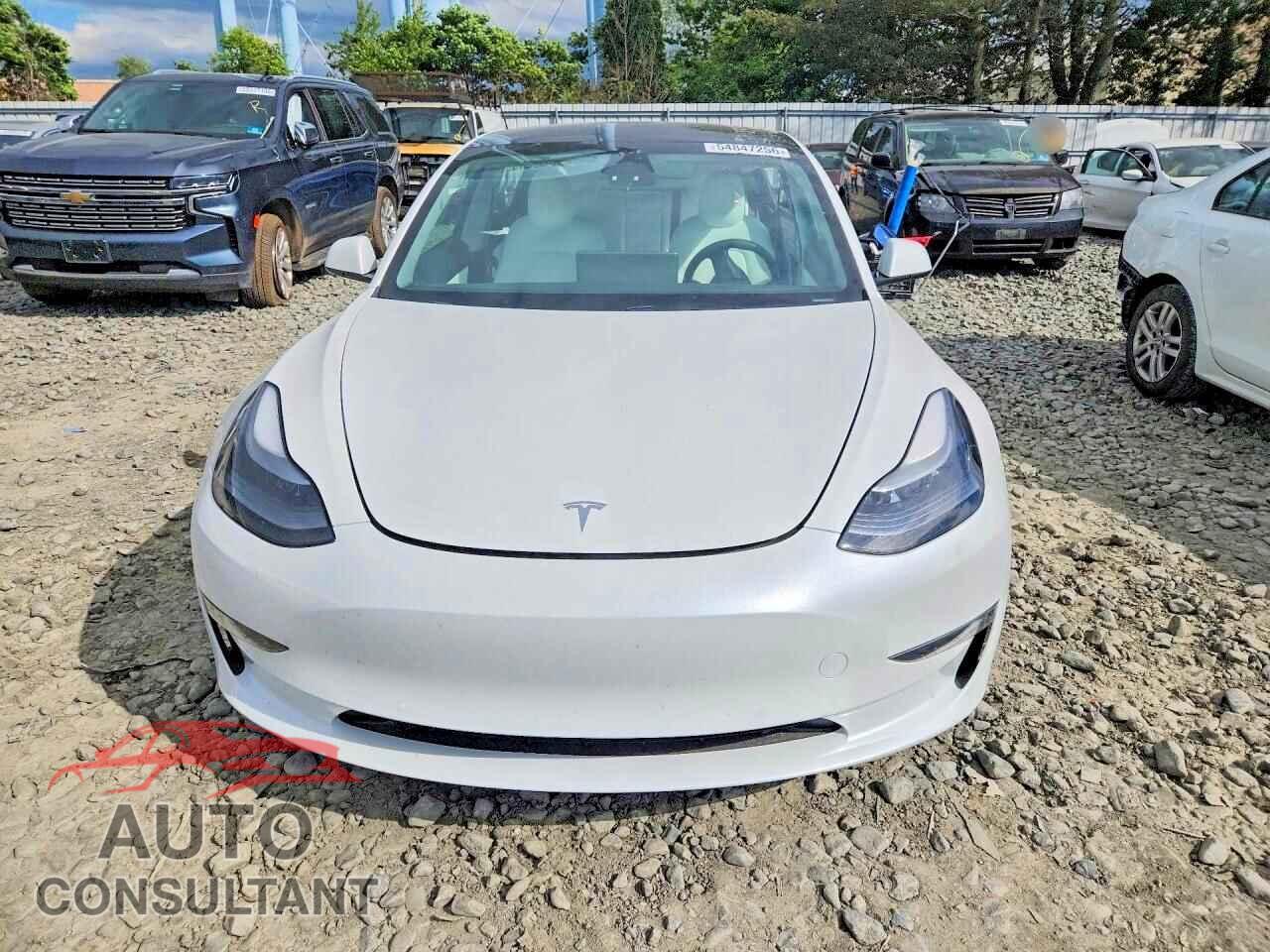 TESLA MODEL 3 2021 - 5YJ3E1EA3MF920492