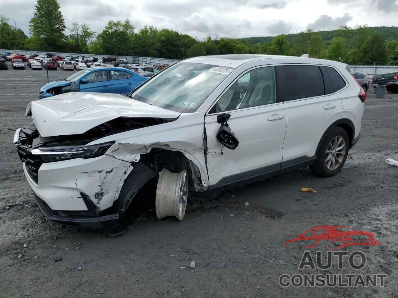 HONDA CRV 2023 - 2HKRS4H42PH427757
