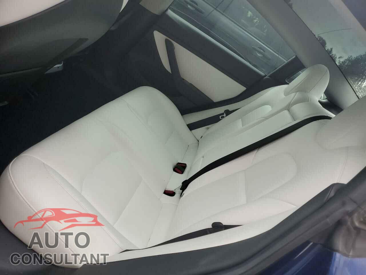 TESLA MODEL 3 2019 - 5YJ3E1EB3KF231669
