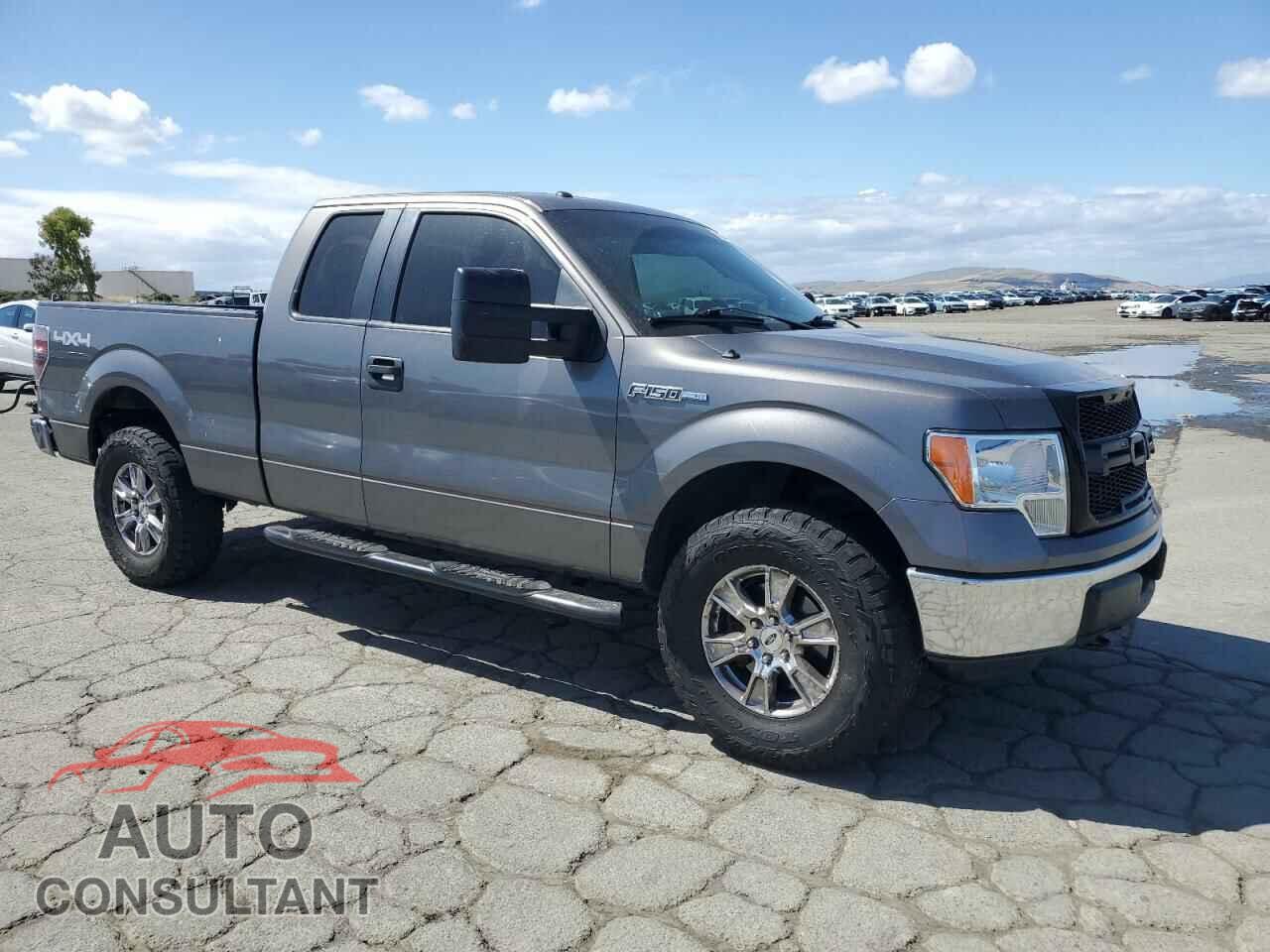 FORD F-150 2013 - 1FTFX1EF4DFD06873