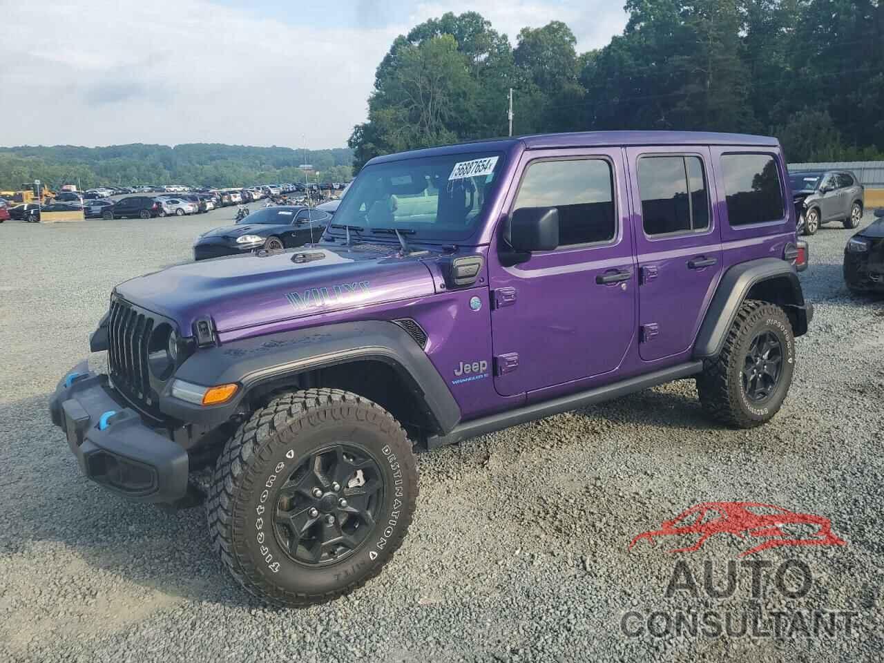 JEEP WRANGLER 2023 - 1C4JJXN62PW614241