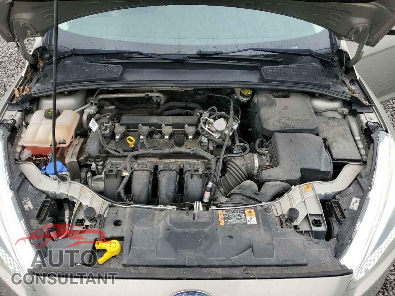 FORD FOCUS 2016 - 1FADP3F25GL330769