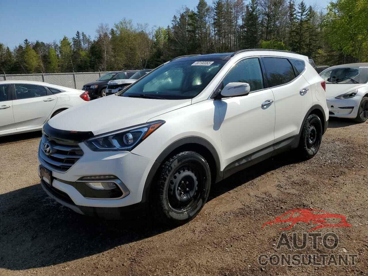 HYUNDAI SANTA FE 2018 - 5NMZUDLB7JH094489