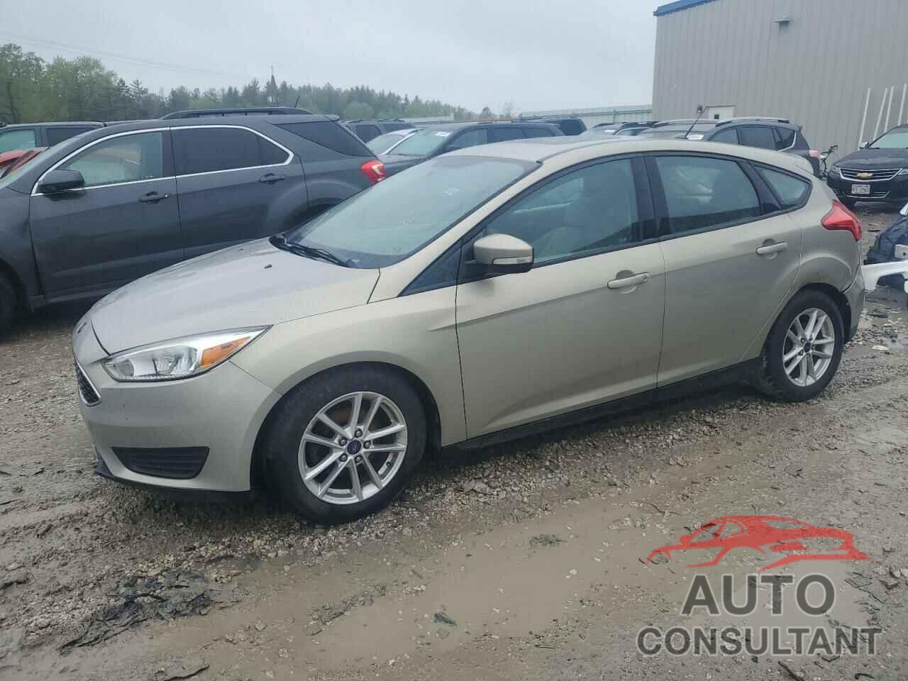 FORD FOCUS 2016 - 1FADP3K21GL259477