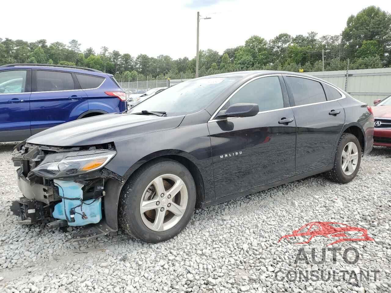 CHEVROLET MALIBU 2019 - 1G1ZB5ST7KF130839