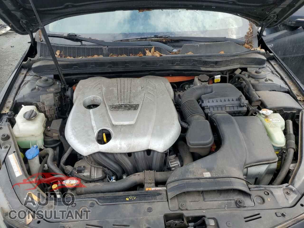 KIA OPTIMA 2013 - KNAGM4AD8D5042014