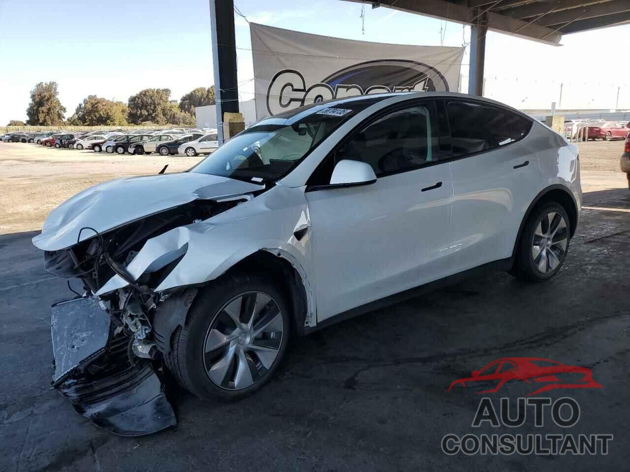 TESLA MODEL Y 2024 - 7SAYGDEE0RF981488