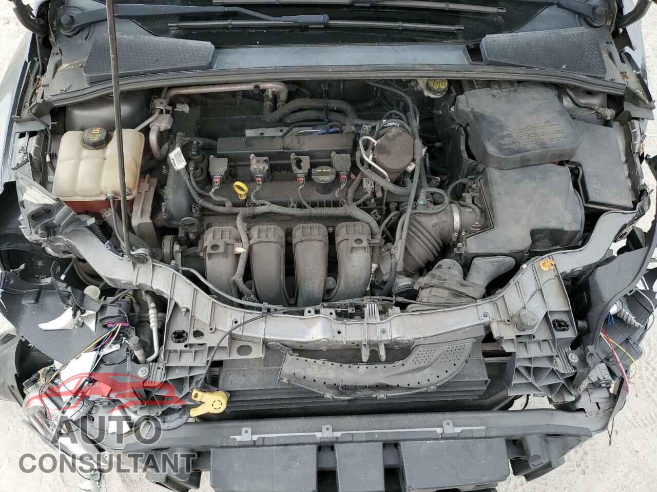 FORD FOCUS 2014 - 1FADP3F26EL332351