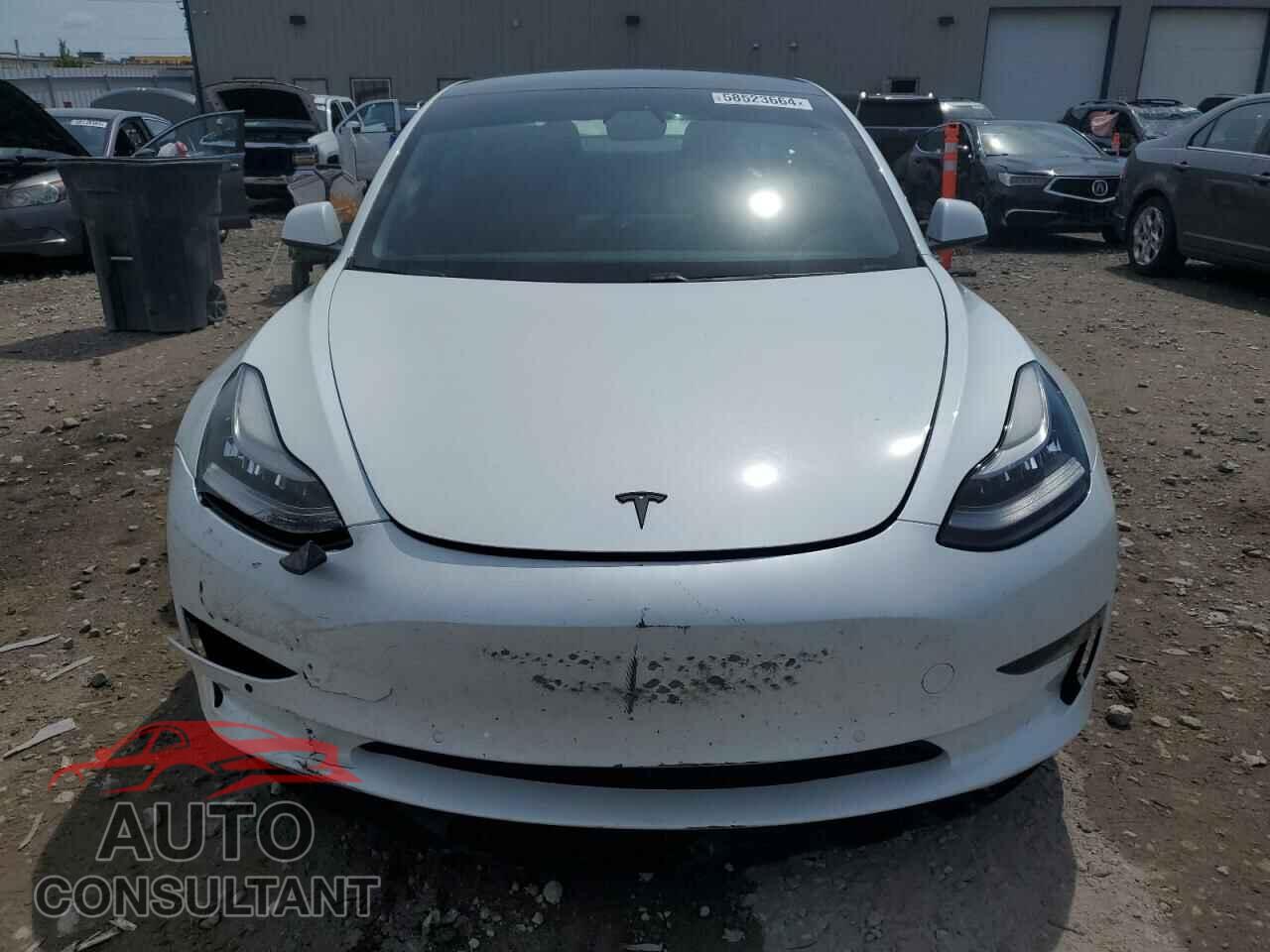 TESLA MODEL 3 2021 - 5YJ3E1EA1MF854279