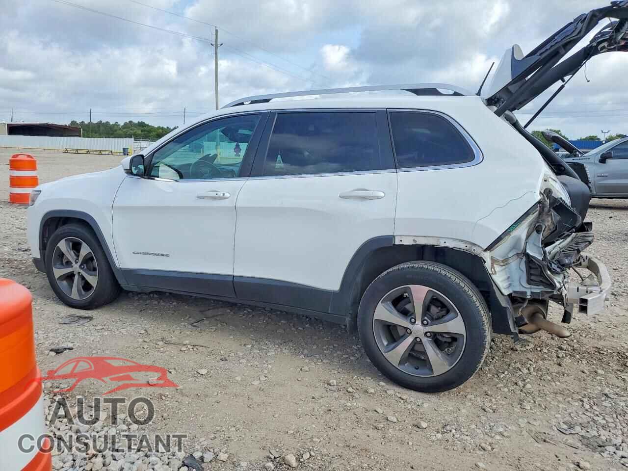 JEEP CHEROKEE 2019 - 1C4PJLDB6KD416199