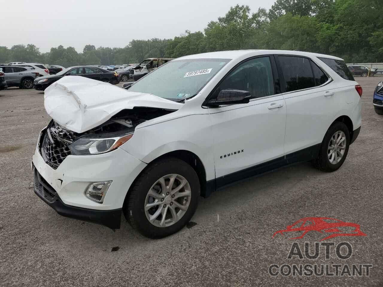 CHEVROLET EQUINOX 2019 - 3GNAXUEV1KL172417