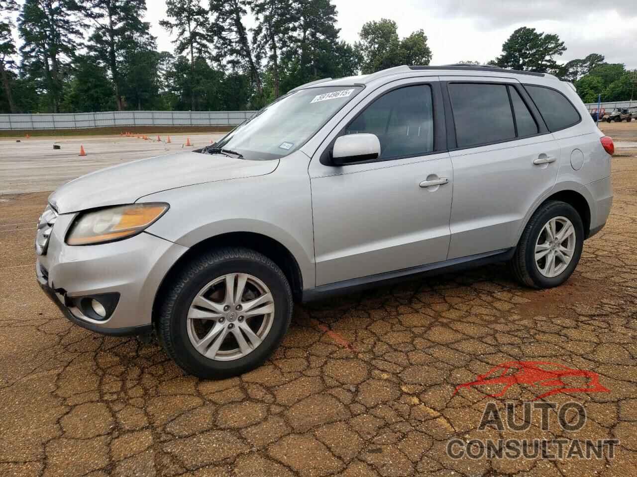 HYUNDAI SANTA FE 2010 - 5NMSH4AG9AH393101