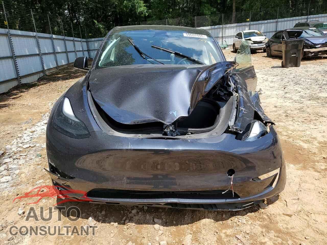 TESLA MODEL Y 2024 - 7SAYGDED6RF111185