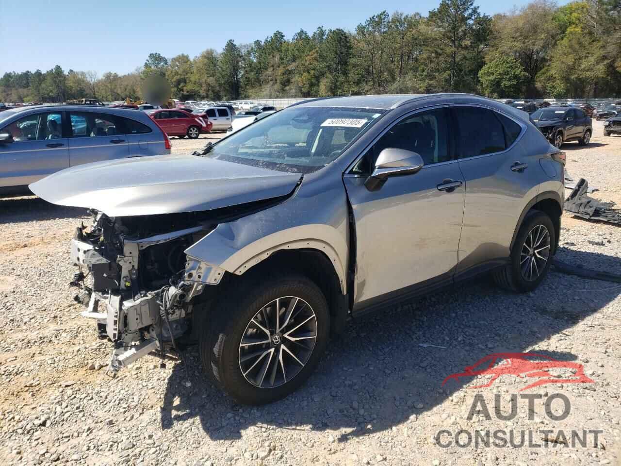 LEXUS NX 250 BAS 2024 - 2T2ADCAZ3RC008065