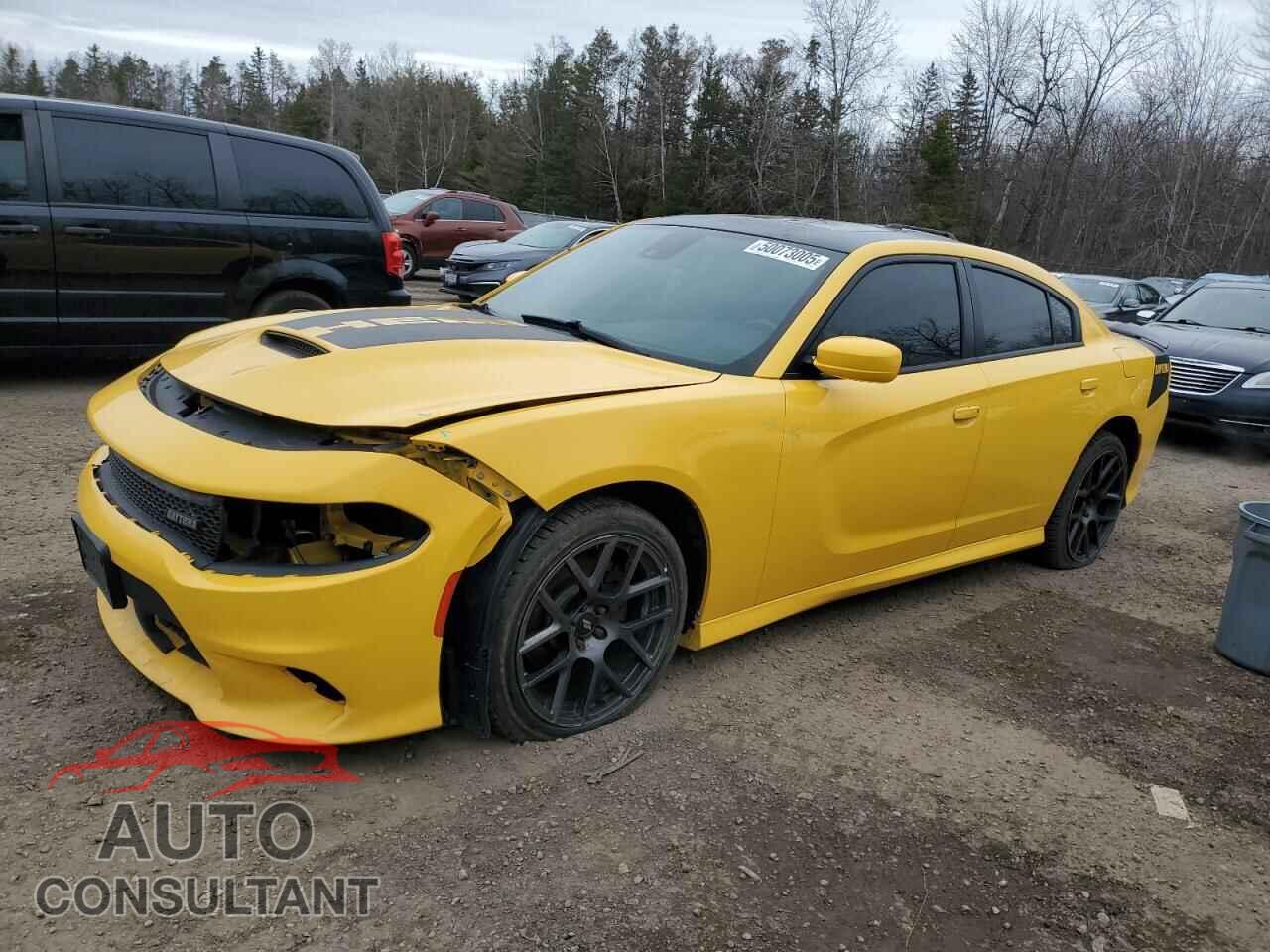 DODGE CHARGER 2017 - 2C3CDXCT3HH583319