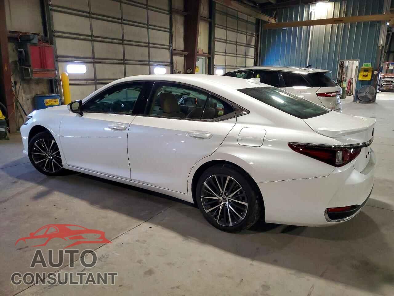 LEXUS ES300 2024 - 58ADA1C19RU037180