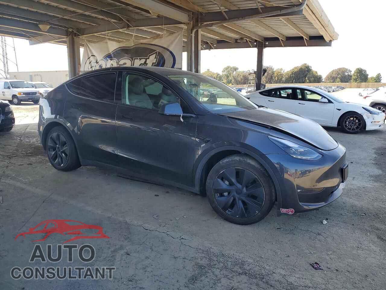 TESLA MODEL Y 2024 - 7SAYGAEE8RF100115