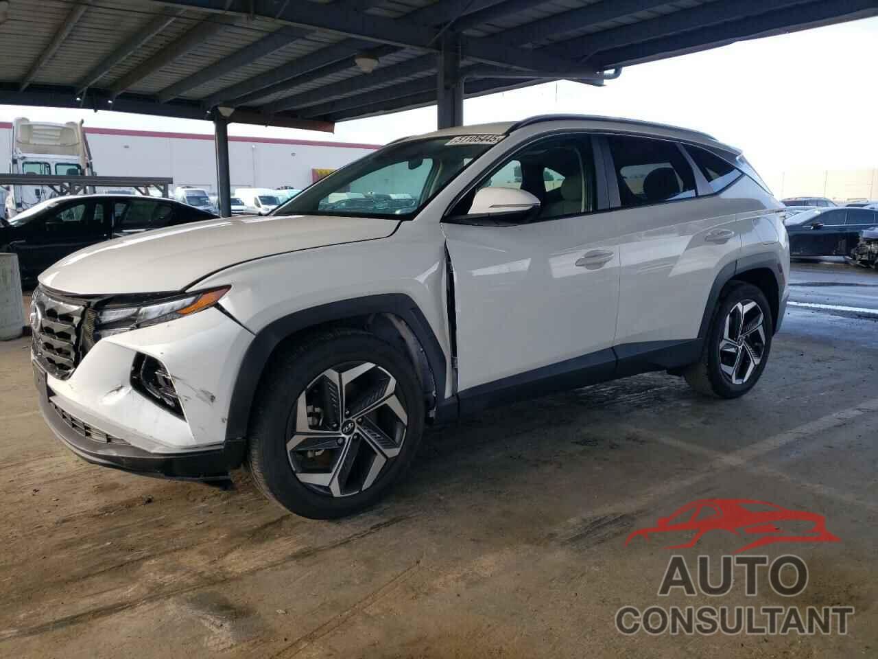 HYUNDAI TUCSON 2024 - 5NMJF3DEXRH346001