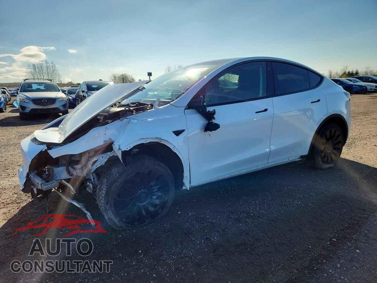 TESLA MODEL Y 2023 - 7SAYGDEE2PF584376