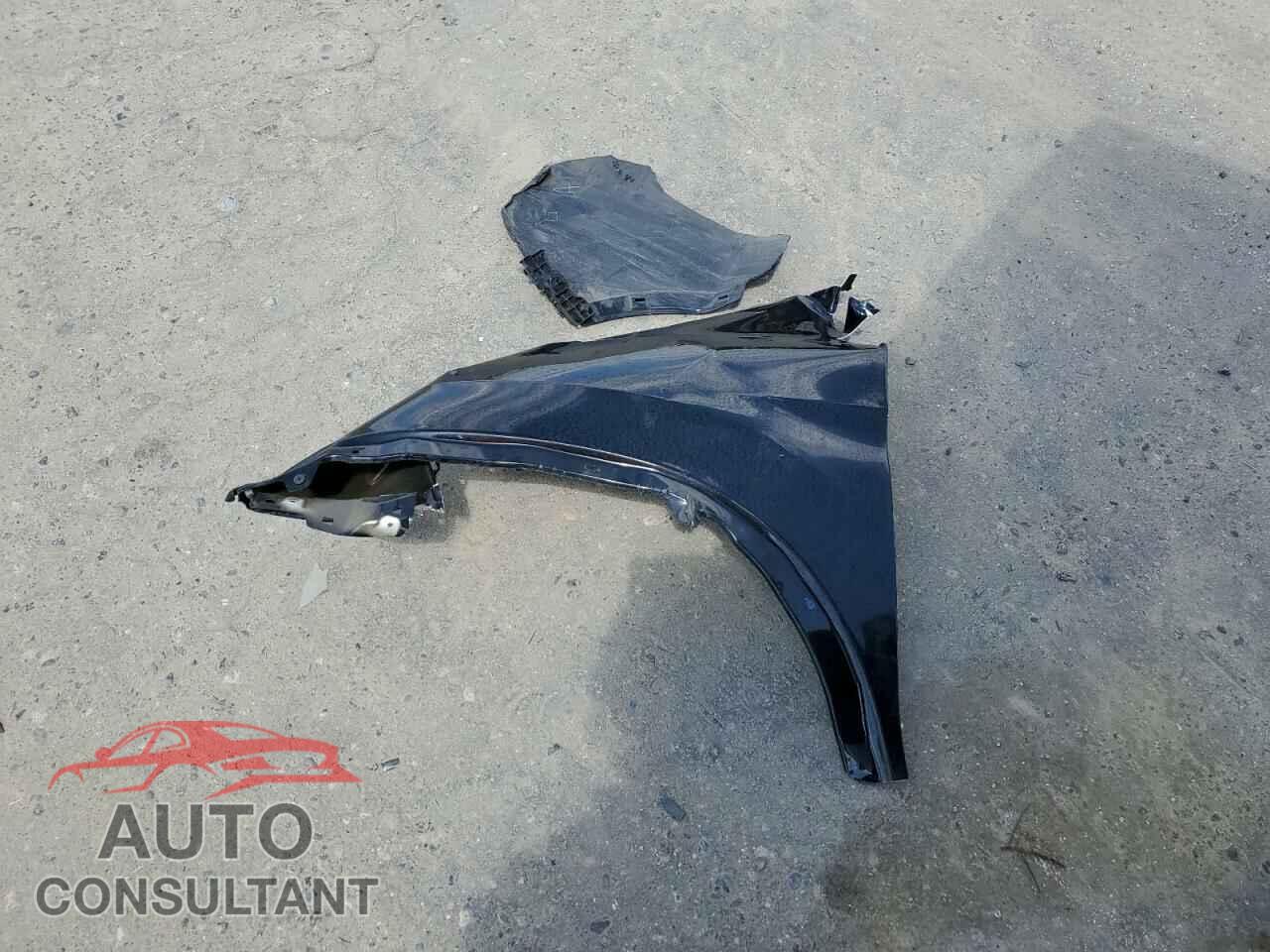 HONDA PILOT 2019 - 5FNYF6H49KB031666