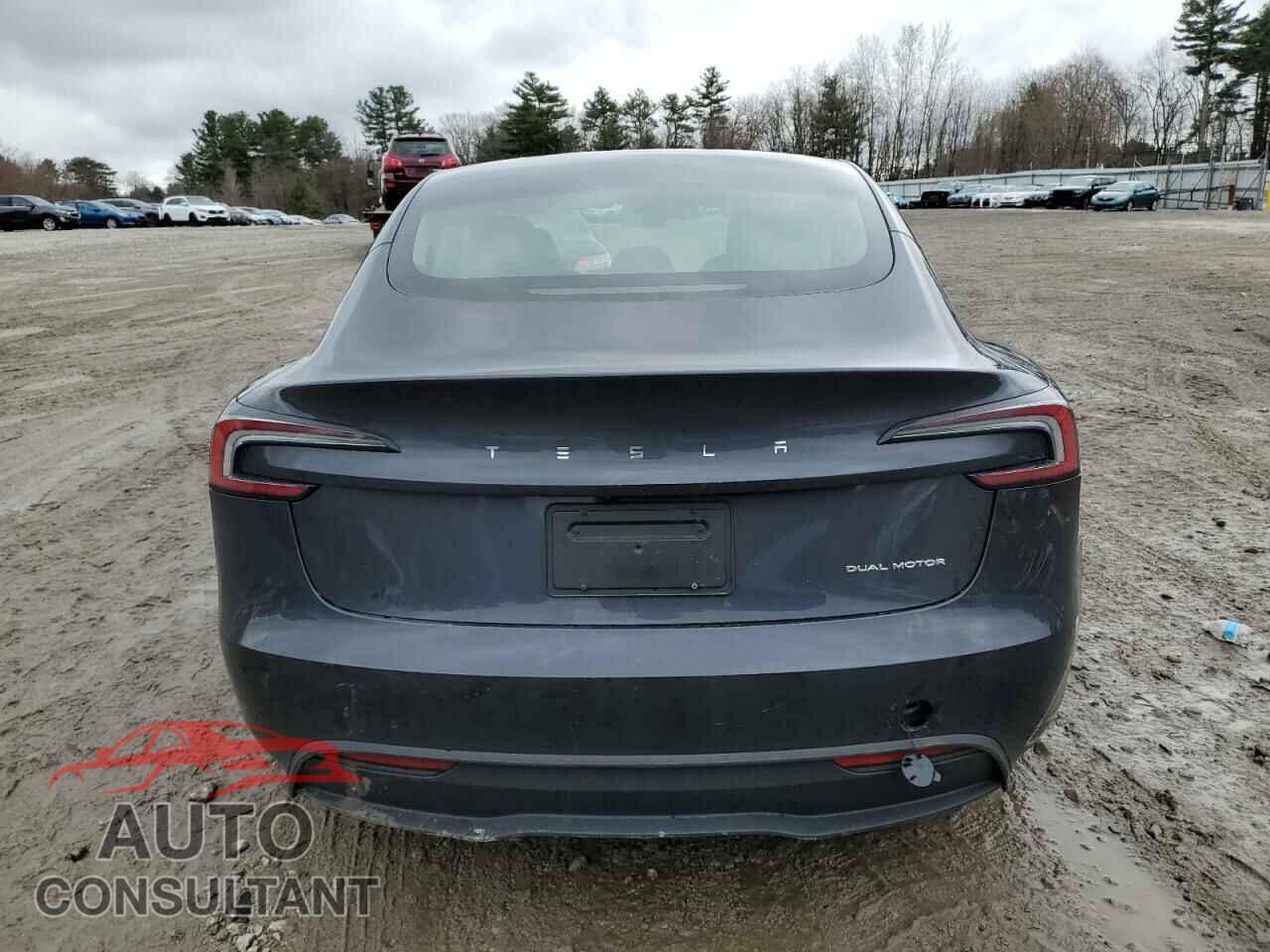 TESLA MODEL 3 2024 - 5YJ3E1EB2RF816463