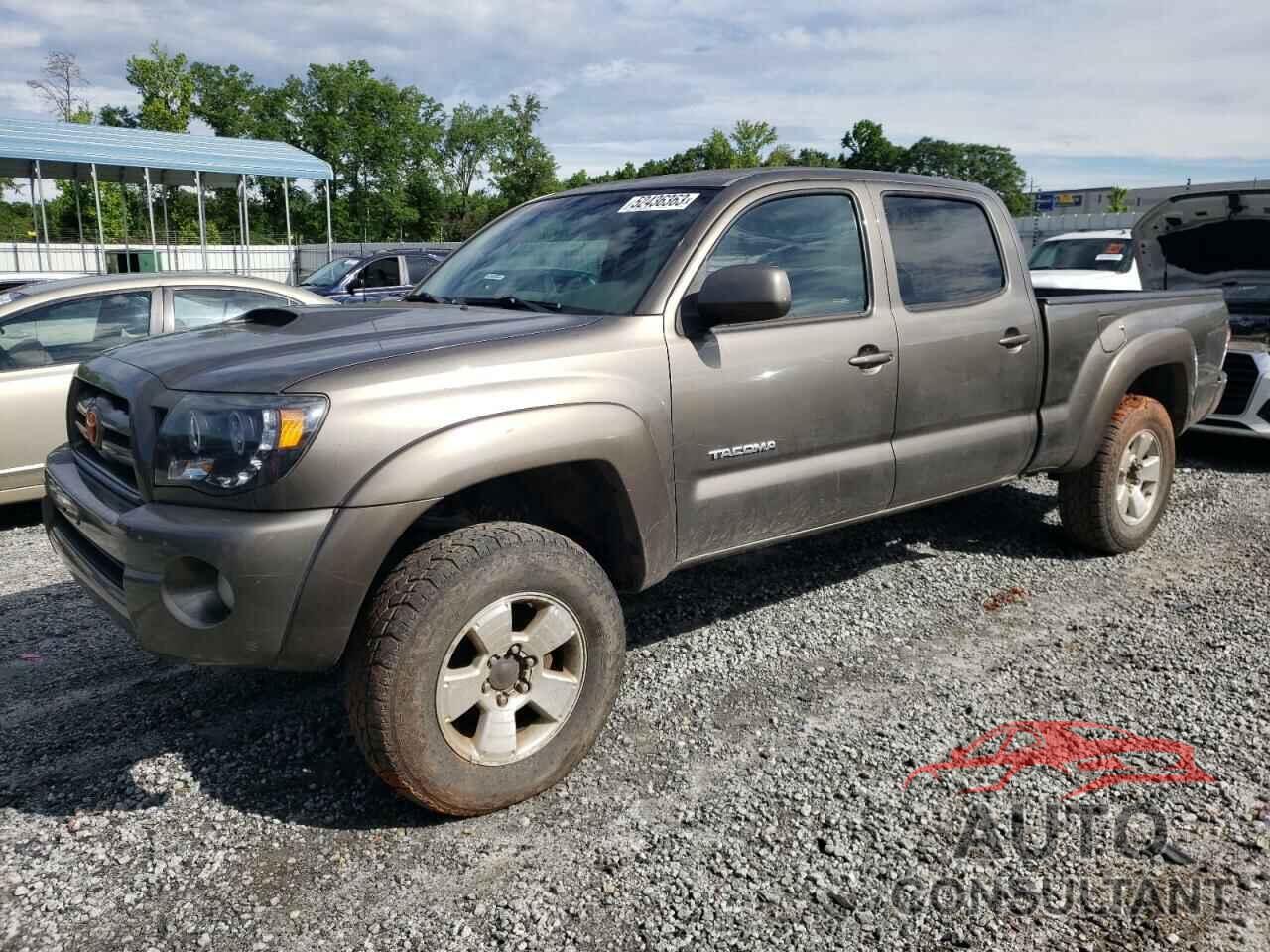 TOYOTA TACOMA 2010 - 5TEMU4FN9AZ714355
