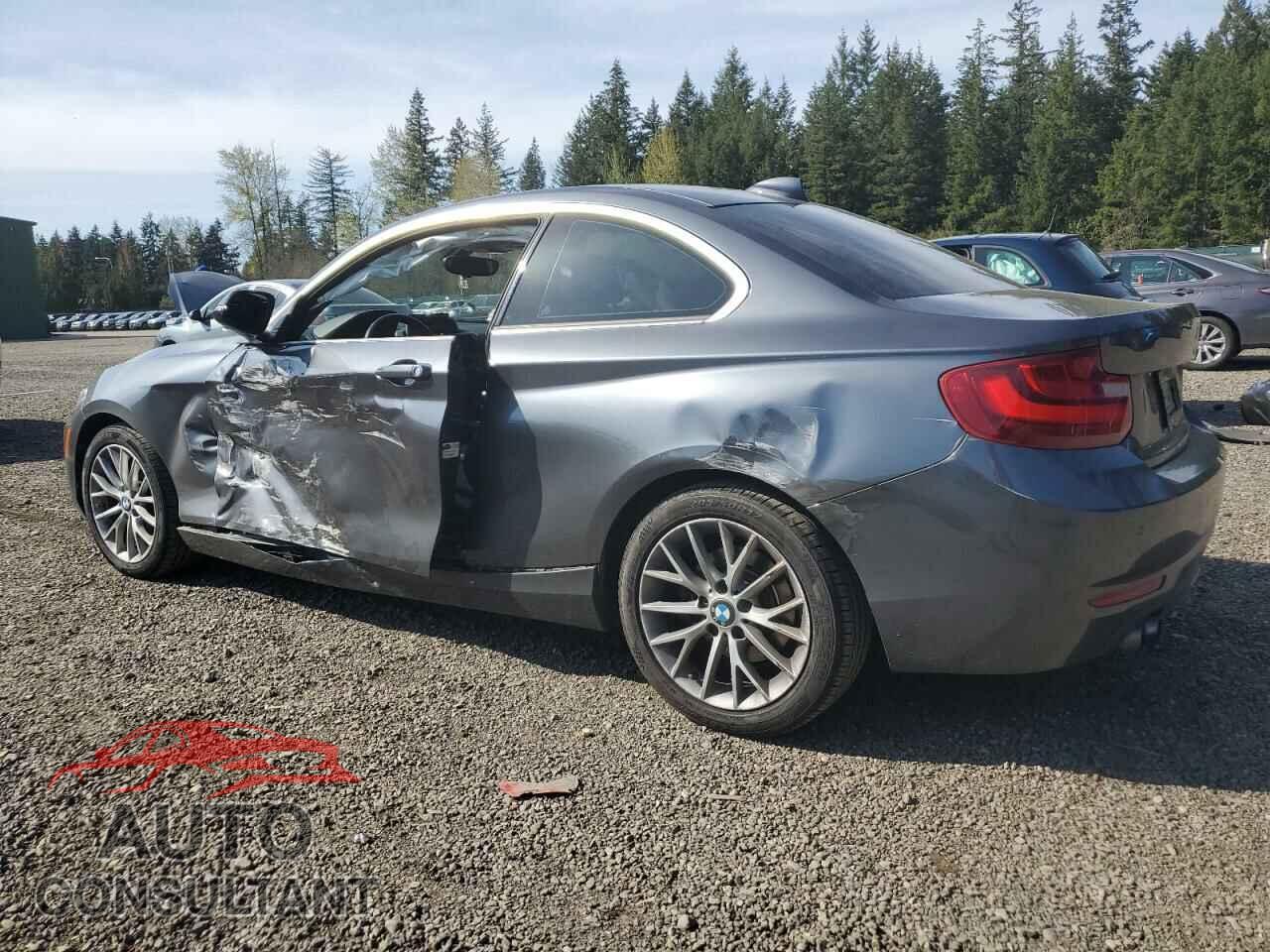 BMW 2 SERIES 2014 - WBA1F5C55EV246282