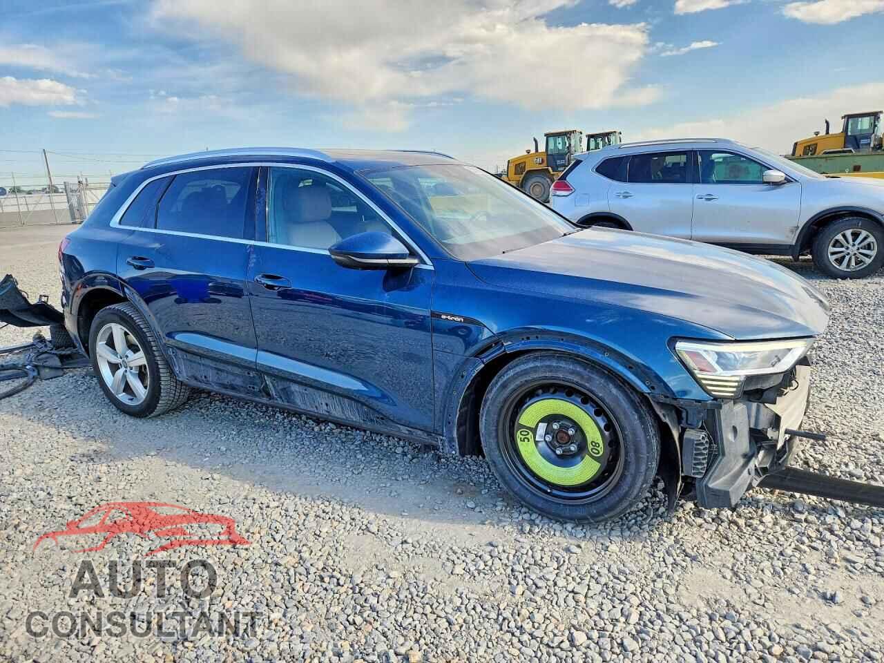AUDI E-TRON 2019 - WA1LABGE3KB015343