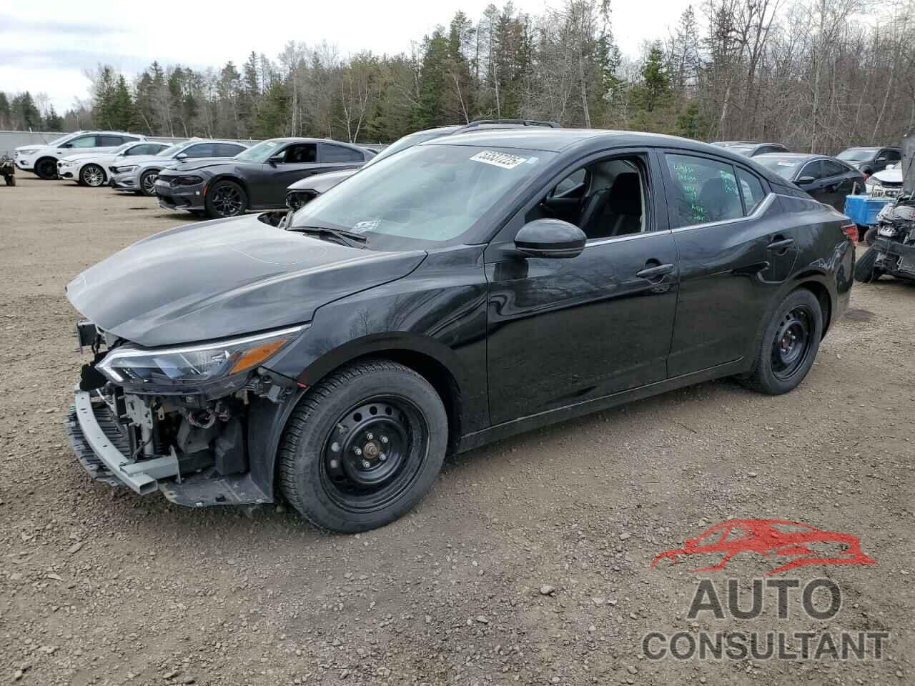 NISSAN SENTRA 2024 - 3N1AB8CVXRY248315