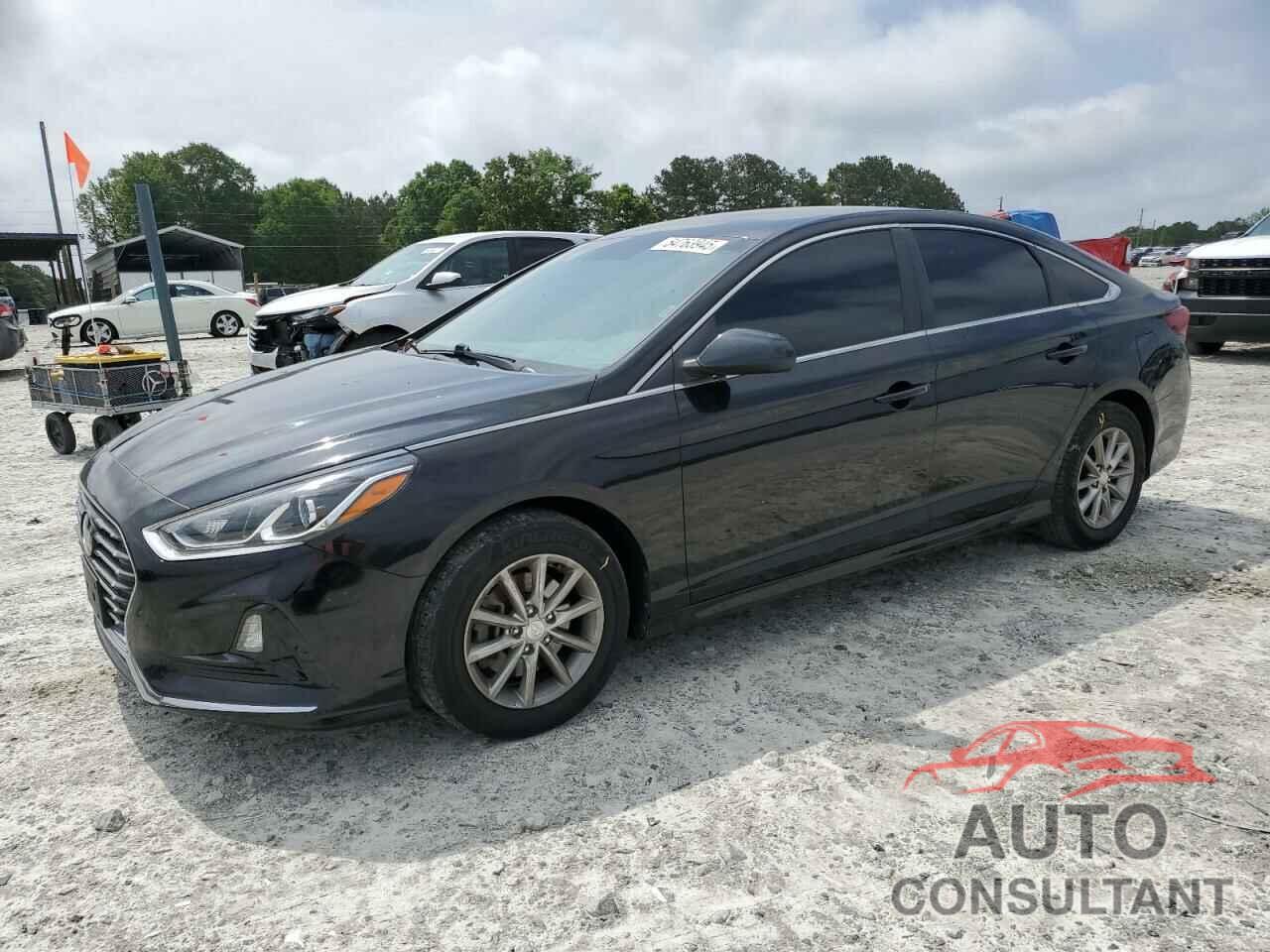 HYUNDAI SONATA 2019 - 5NPE24AF4KH802034