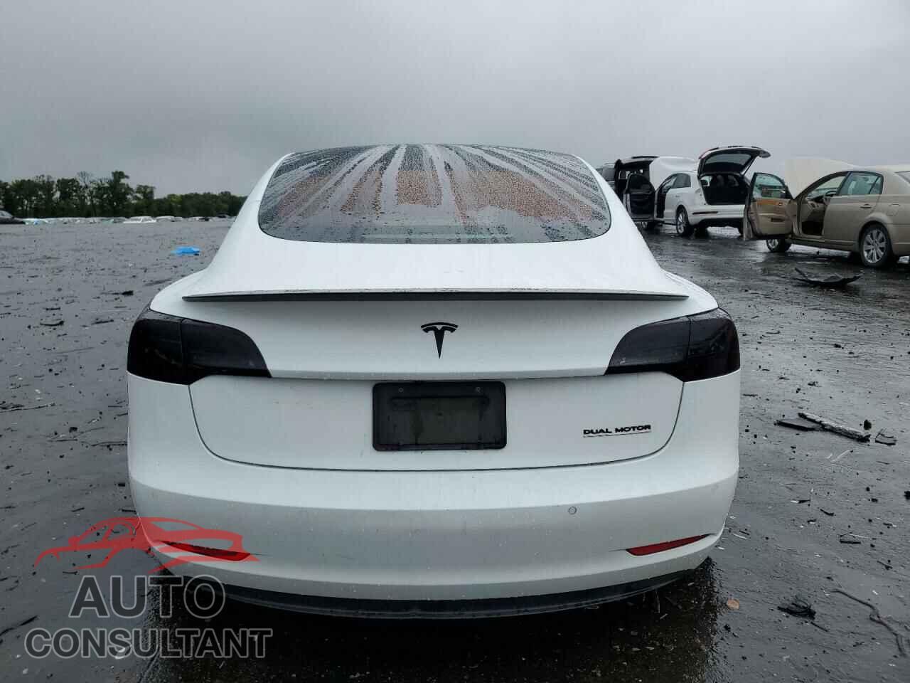 TESLA MODEL 3 2019 - 5YJ3E1EB7KF423192