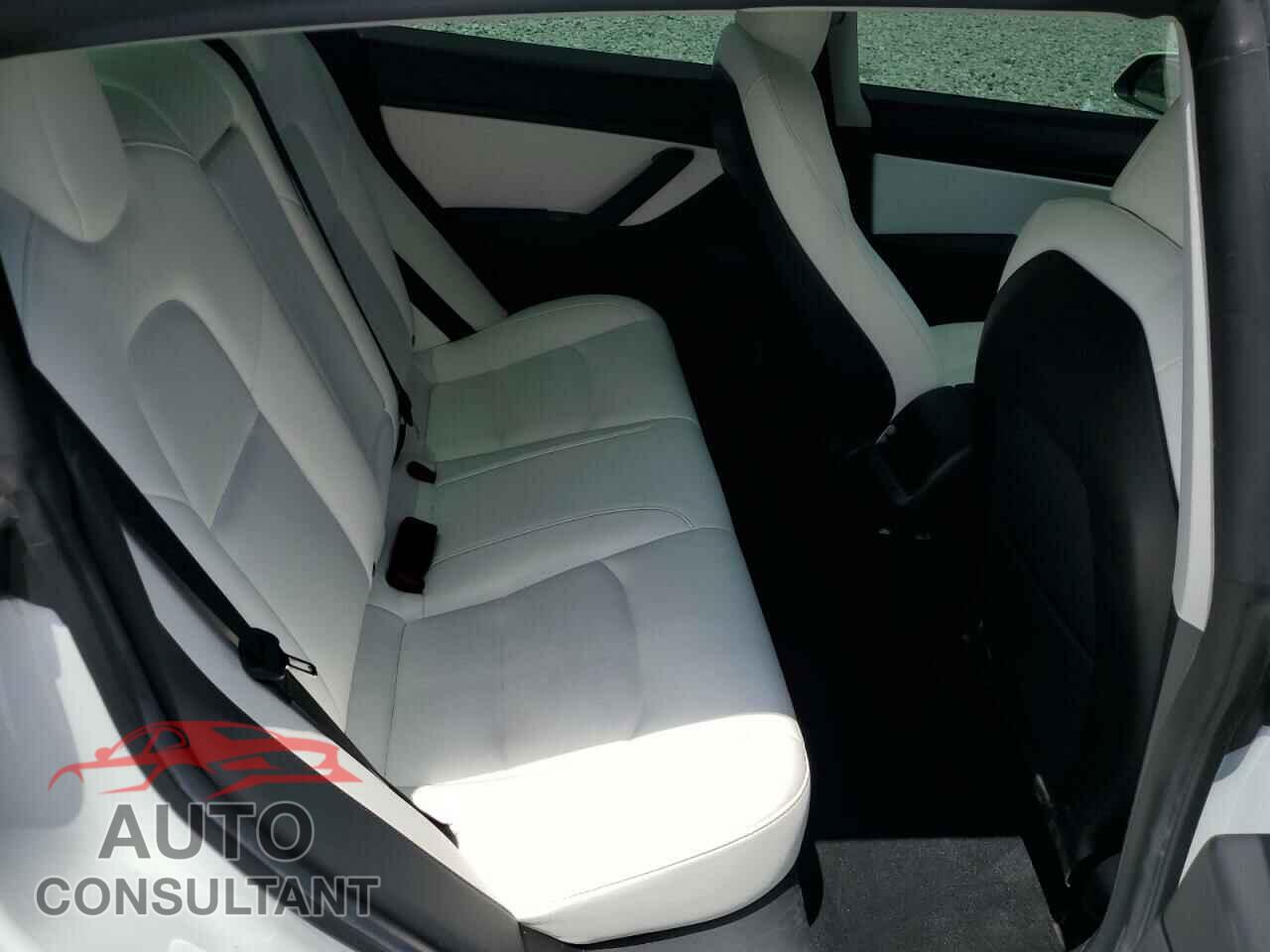 TESLA MODEL 3 2019 - 5YJ3E1EB2KF391185