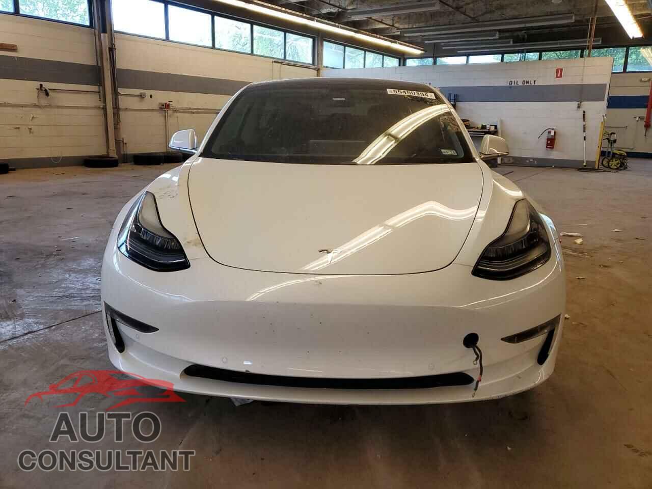 TESLA MODEL 3 2019 - 5YJ3E1EA1KF309860