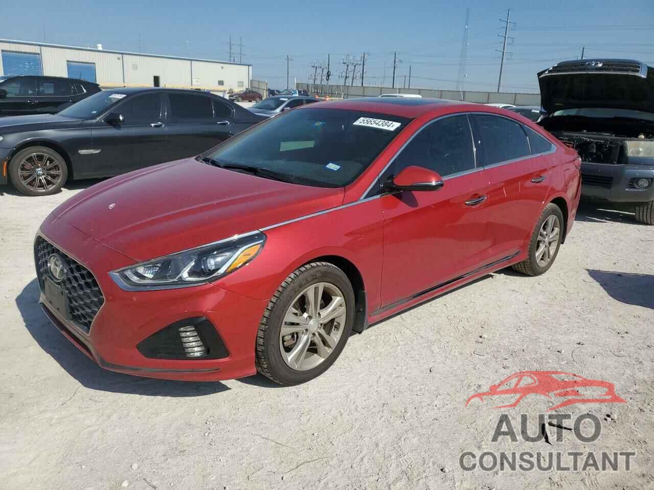 HYUNDAI SONATA 2019 - 5NPE34AF2KH752120