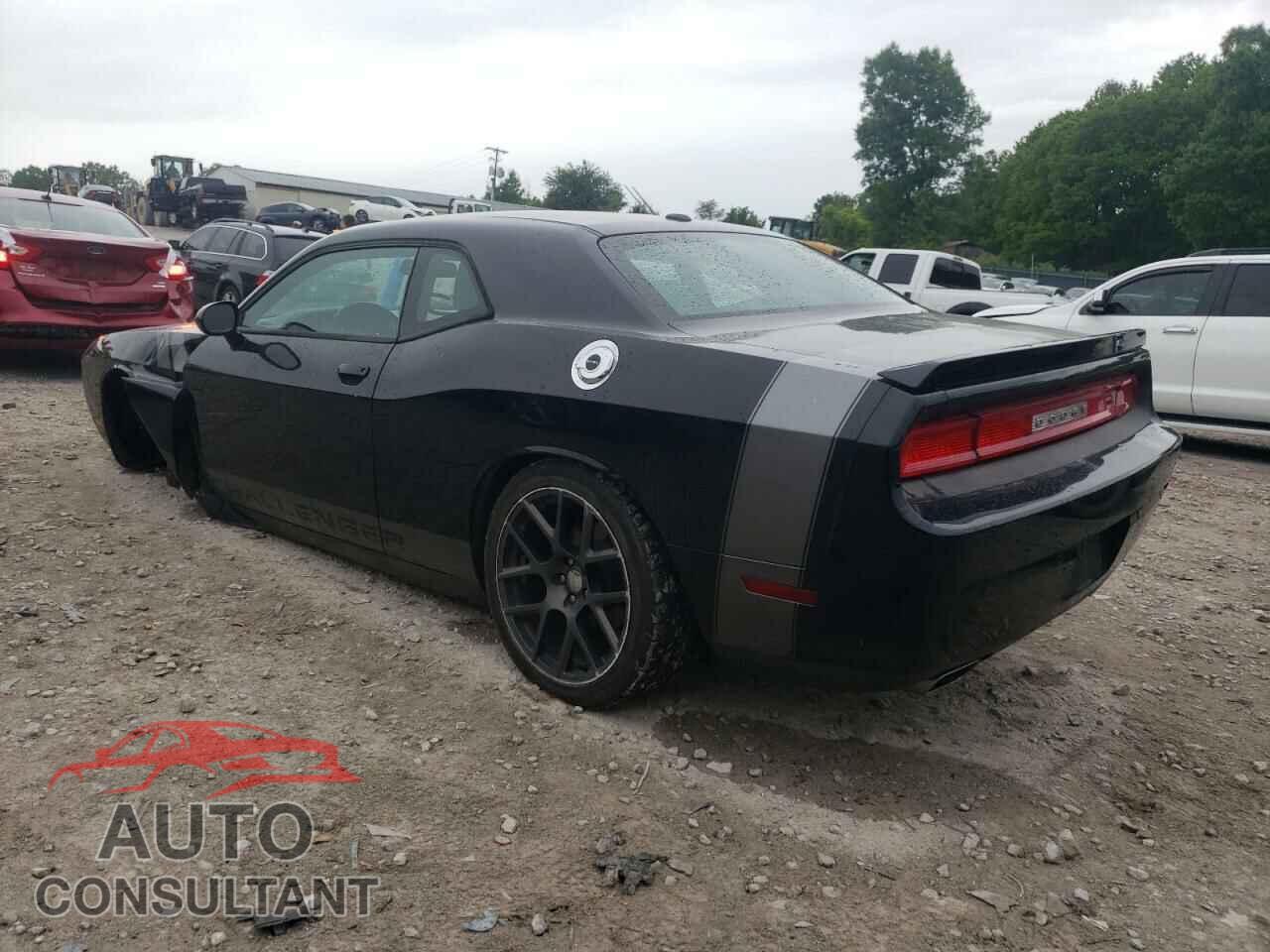 DODGE CHALLENGER 2013 - 2C3CDYAG6DH515778