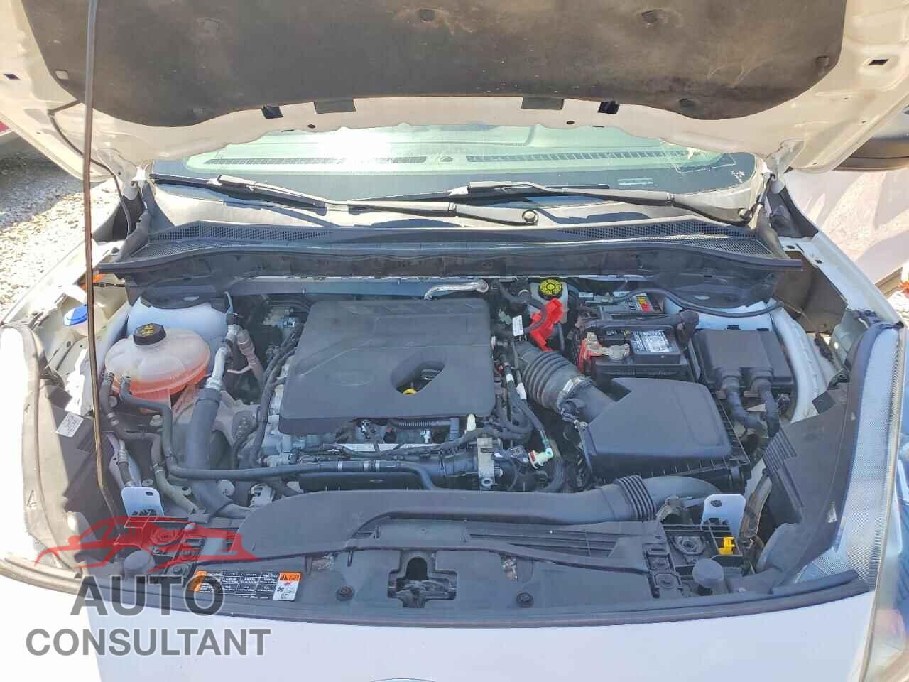 FORD ESCAPE 2020 - 1FMCU0F69LUA21662