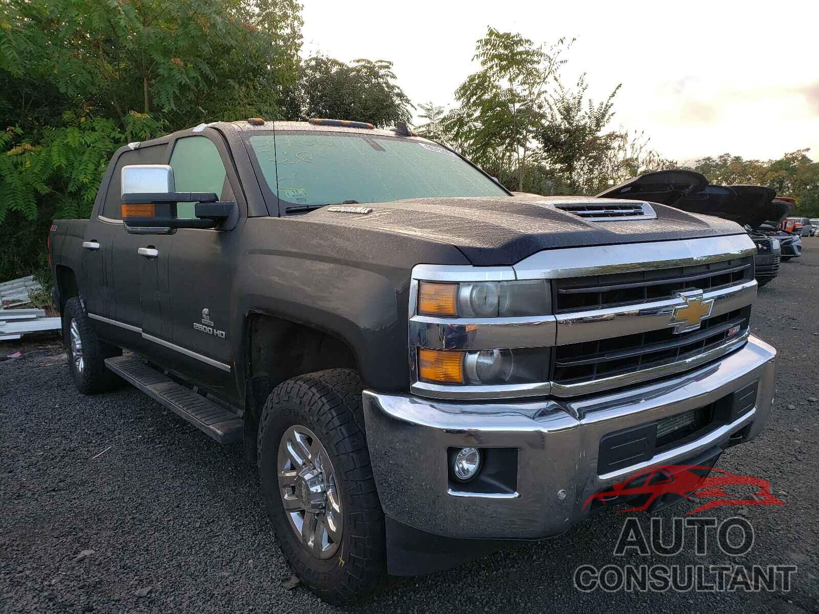 CHEVROLET SILVERADO 2019 - 1GC1KTEY4KF246161