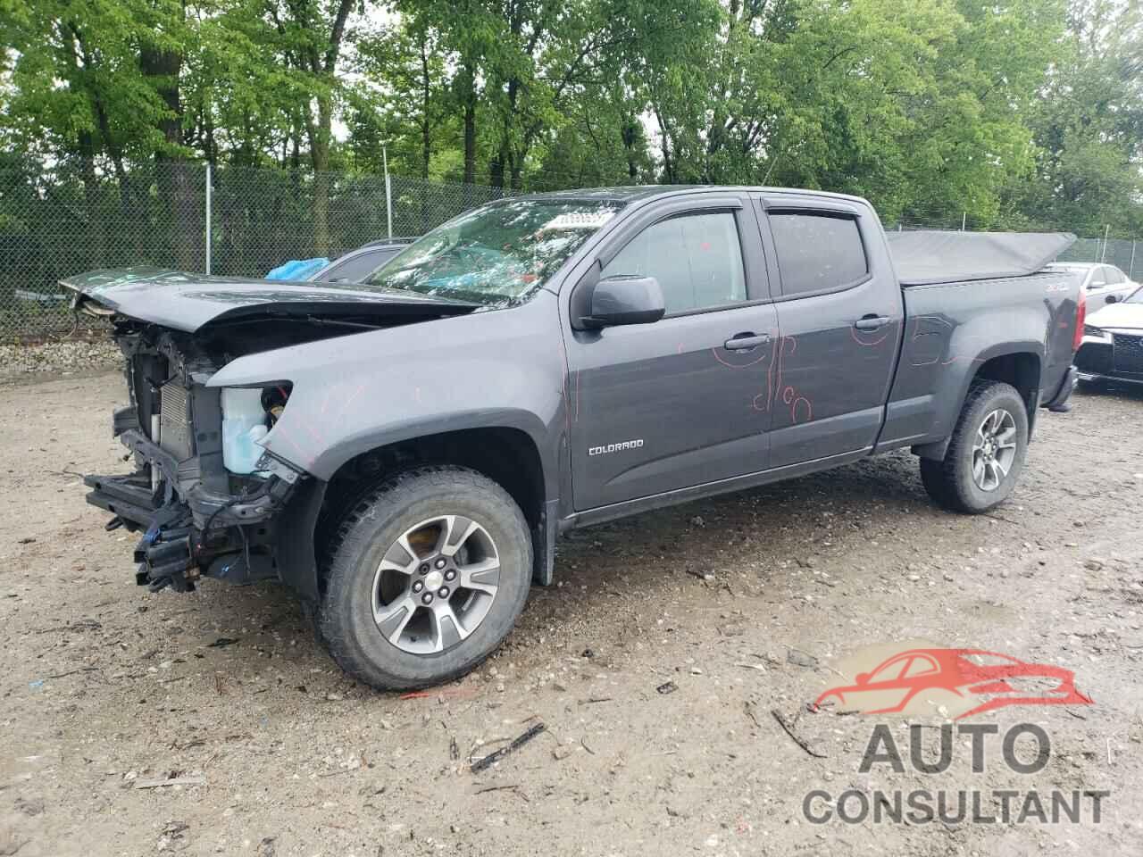 CHEVROLET COLORADO 2016 - 1GCGTDE39G1317957