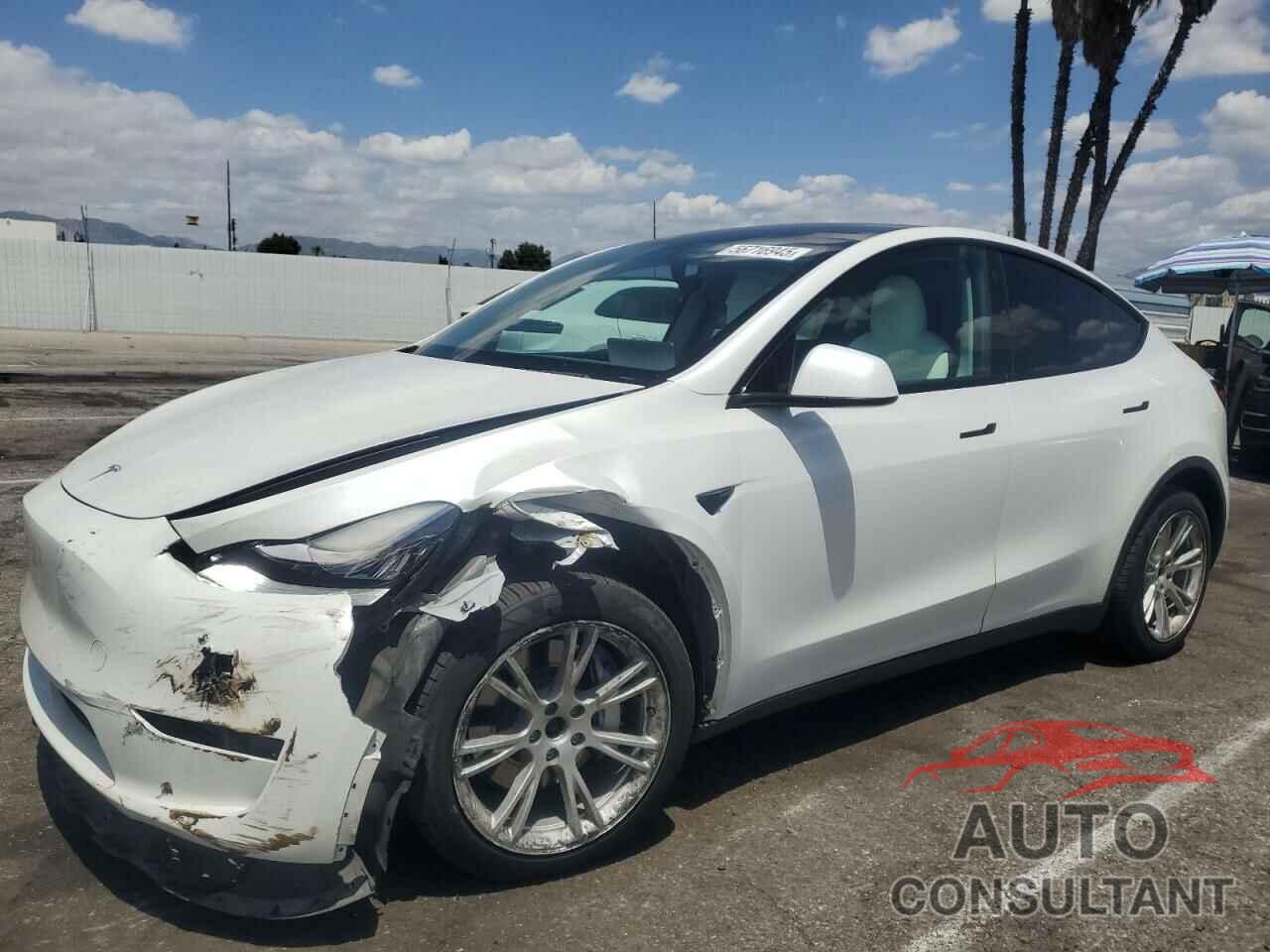 TESLA MODEL Y 2021 - 5YJYGDEE7MF068975
