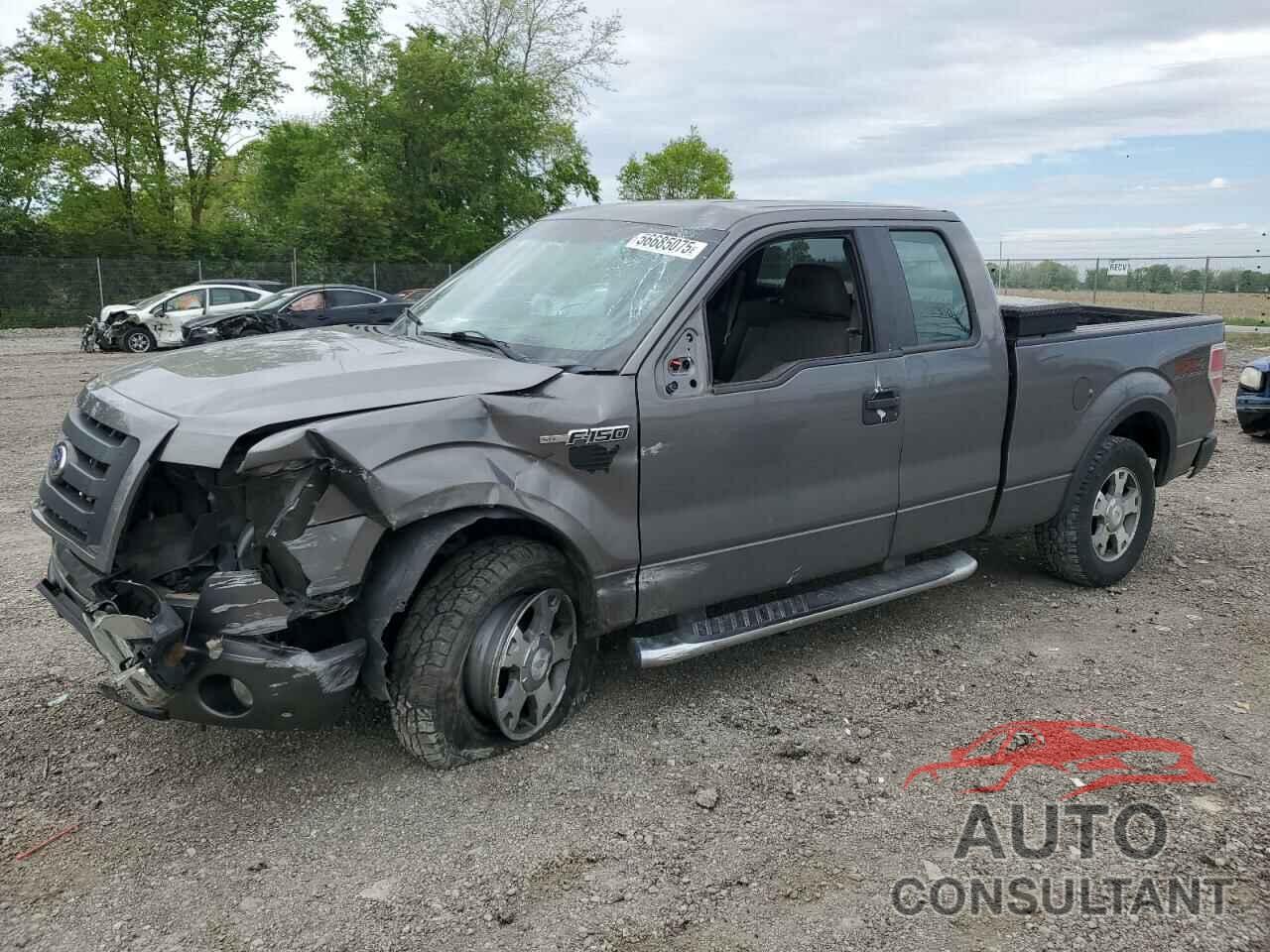 FORD F-150 2010 - 1FTEX1EWXAFD75705
