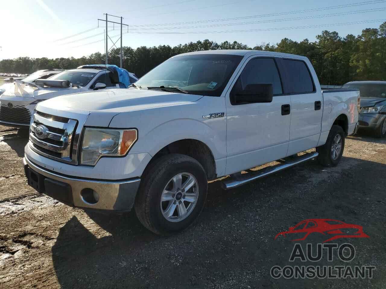 FORD F-150 2011 - 1FTEW1CM0BKE00432