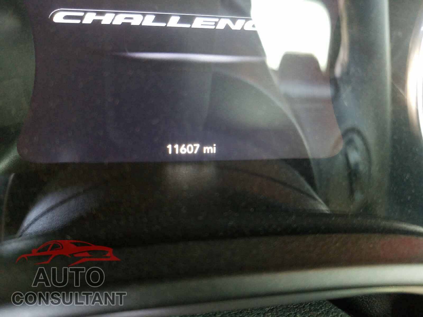 DODGE CHALLENGER 2019 - 2C3CDZAG4KH729395