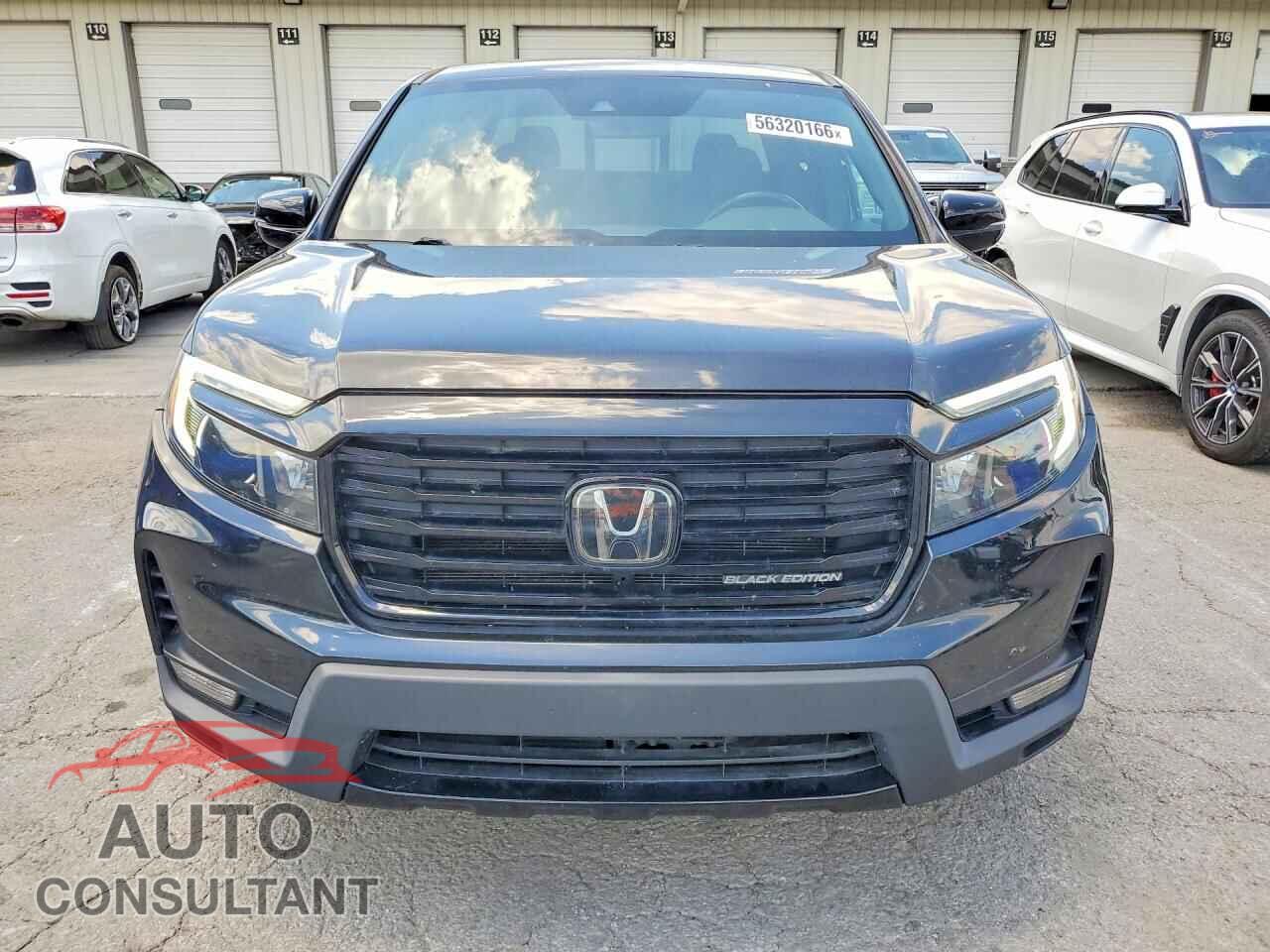 HONDA RIDGELINE 2021 - 5FPYK3F83MB012458
